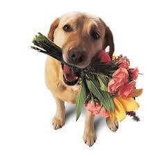 Restaurant Fine Dining